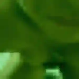 Adunni, fille de 29 ans propose plan cul à Gémozac