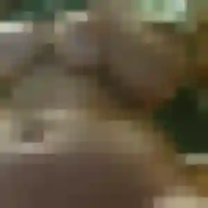 Profil de Ornella à Gennes (39 ans) - plan cul gratuit