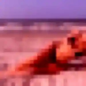 plan cul à Gennevilliers : photo de Tabitha, 44 ans - sans engagement