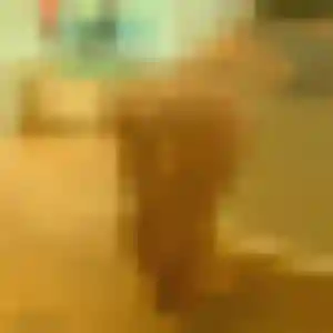 Rosalie, 42 ans, dispo pour plan cul à Gentilly