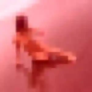 Contacte Constance, 45 ans à Gergy en privé