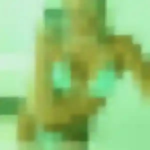 Photo privée de Shanelle, 35 ans à Gertwiller - rencontre sans lendemain