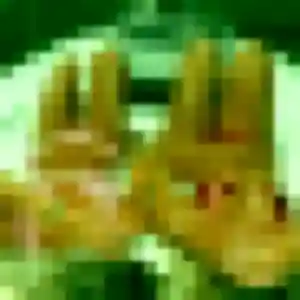 Shanelle, 30 ans, cherche un plan cul à Gétigné