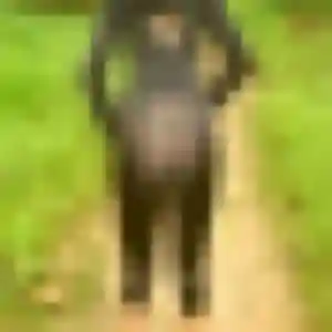 Rejoins Prisca, 41 ans à Gleizé en privé