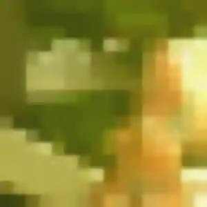 Noëlla (40 ans) à Gouy-Saint-André attend un plan cul aujourd'hui