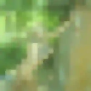 Dienaba, 28 ans, connectée à Gouy-sous-Bellonne pour une rencontre coquine