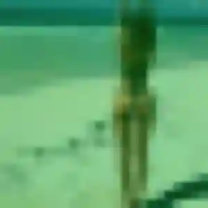 Profil de Solène à Granzay-Gript (43 ans) - plan cul discret