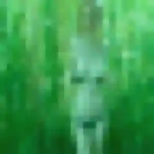 Photo exclusive de Amara, 29 ans à Gratot - rencontre coquine