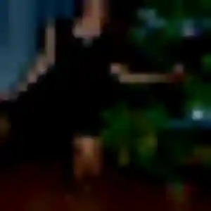 Jeanine, femme de 40 ans veut plan cul à Gravelotte
