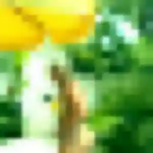 Jumoke, fille de 30 ans cherche plan cul à Graye-sur-Mer