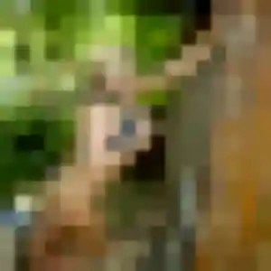 Rencontre Cindy, 37 ans à Grazac gratuitement