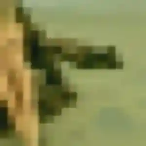 Rejoins Odile, 30 ans à Grignan gratuitement