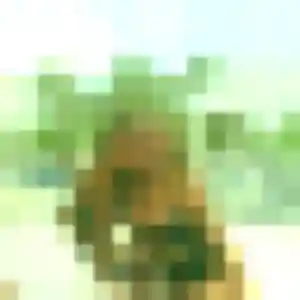 Madeleine de Guebwiller, 25 ans - plan cul sans lendemain