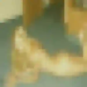 Photo exclusive de Aïcha, 32 ans à Guégon - plan discret