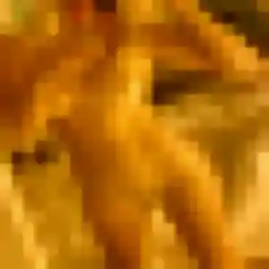 Photo de Valentine à Guerlesquin (41 ans) - plan cul sans inscription