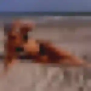 Cassandra, 42 ans, disponible à Guesnain pour un plan cul