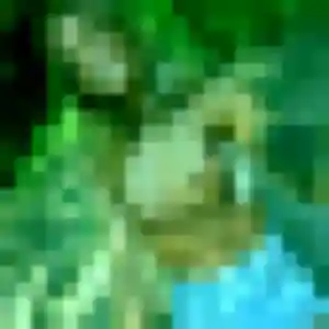 Sexy Amara, 40 ans à Guewenheim - la contacter