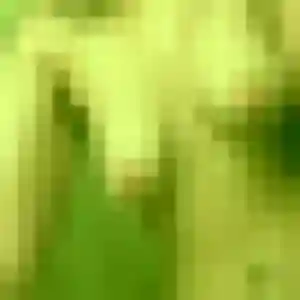 Belle Abena, 33 ans à Guilers - la contacter