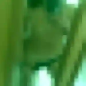 Sexy Yolande, 39 ans à Guillestre - la contacter