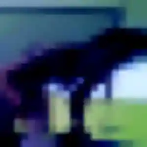 Contacte Selbé, 22 ans à Guipel gratuitement