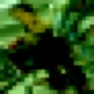 Photo privée de Lise, 28 ans à Guitté - rencontre sans lendemain