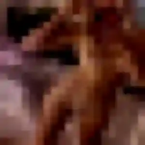 Photo sexy de Astou, 30 ans à Gundershoffen - rencontre sans lendemain