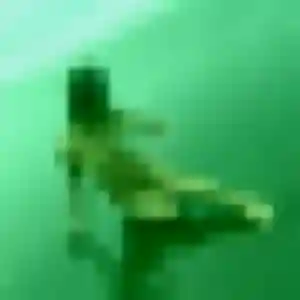 Photo de Salamata à Gundolsheim (22 ans) - plan cul anonyme
