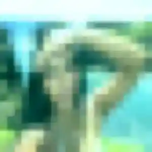 Photo exclusive de Amani, 27 ans à Hagondange - rencontre coquine