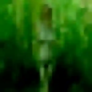 Photo de Muthoni à Haillicourt (38 ans) - plan cul discret