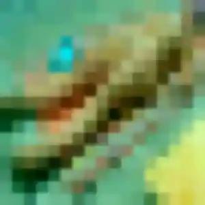 Photo privée de Héloïse, 33 ans à Harcourt - rencontre sans lendemain