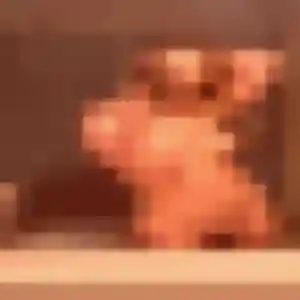 Photo privée de Inès, 30 ans à Hénanbihen - rencontre coquine