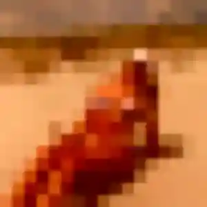 Charmante Shanna, 24 ans à Herbault - découvrir son profil