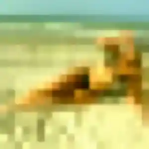 plan cul à Herlies : profil de Kiné, 41 ans - inscription gratuite