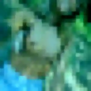 Photo privée de Stacy, 35 ans à Herm - rencontre coquine