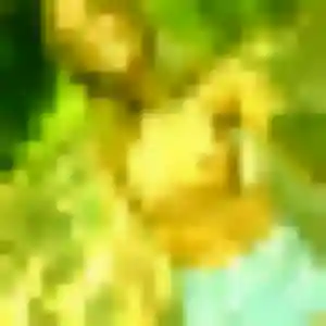 Jamila (42 ans) à Heuringhem propose un plan cul rapidement