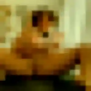 Photo de Esther à Hiersac (41 ans) - plan cul anonyme