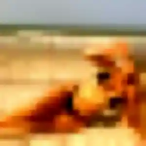 Photo de Nadège à Hinges (41 ans) - plan cul gratuit