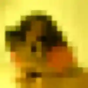 plan cul à Hinges : photo de Touty, 22 ans - inscription gratuite