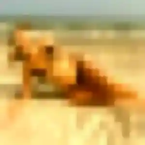 Photo de Upendo à Hirson (33 ans) - plan cul anonyme