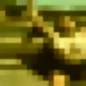 Photo privée de Safi, 29 ans à Hon-Hergies - plan discret