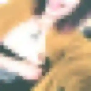 Profil de Afia à Hondeghem (30 ans) - plan cul gratuit