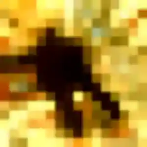 Rencontre Lise, 33 ans à Imling gratuitement