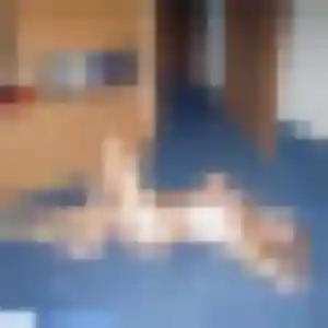 Photo privée de Esi, 37 ans à Inchy - rencontre sans lendemain