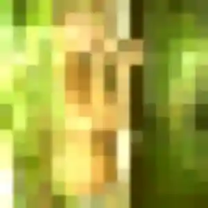 Rachida, 23 ans, cherche un plan cul à Ingwiller