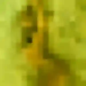 Photo privée de Malika, 28 ans à Isles-les-Meldeuses - rencontre coquine