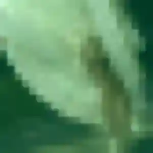 Cindy, 39 ans, connectée à Isles-sur-Suippe pour un plan cul