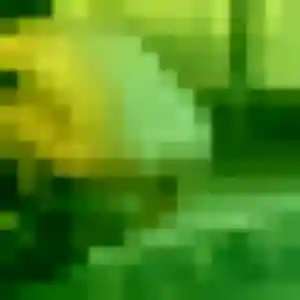 Rejoins Peace, 25 ans à Issenheim gratuitement