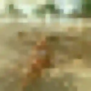 Sékou, 37 ans, en ligne à Jarny pour une rencontre coquine