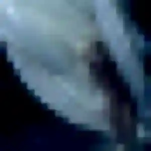 Charmante Cindy, 33 ans à Jauldes - la contacter