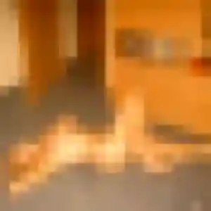 Photo sexy de Saffie, 44 ans à Jeumont - rencontre sans lendemain
